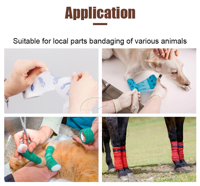 Bandage élastique auto-adhésif pour animaux de compagnie