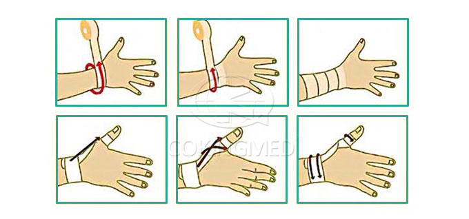 Bandage Tutorial